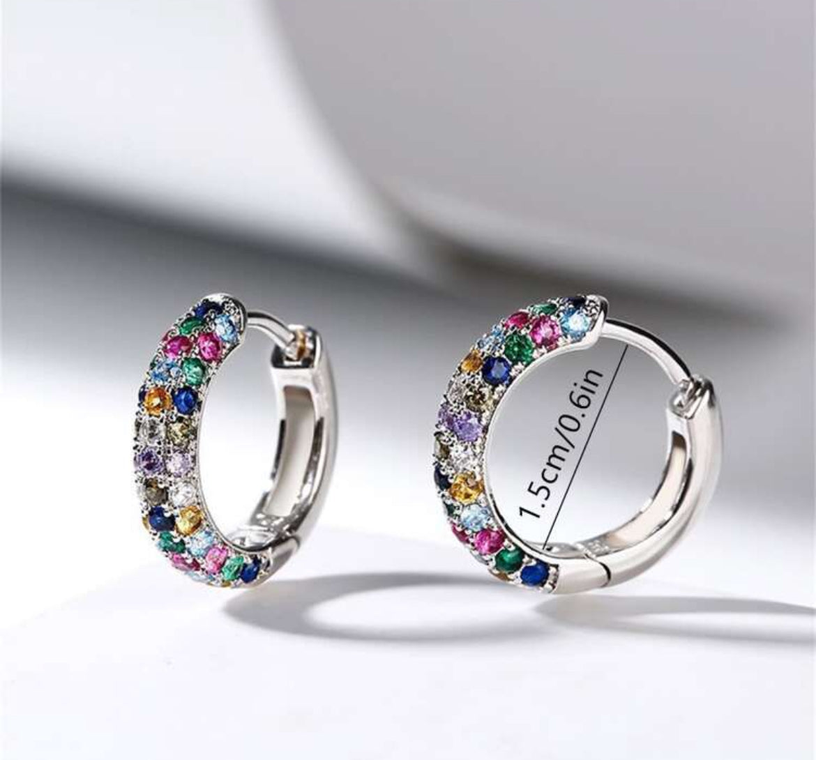 Dani Stainless Steel earrings