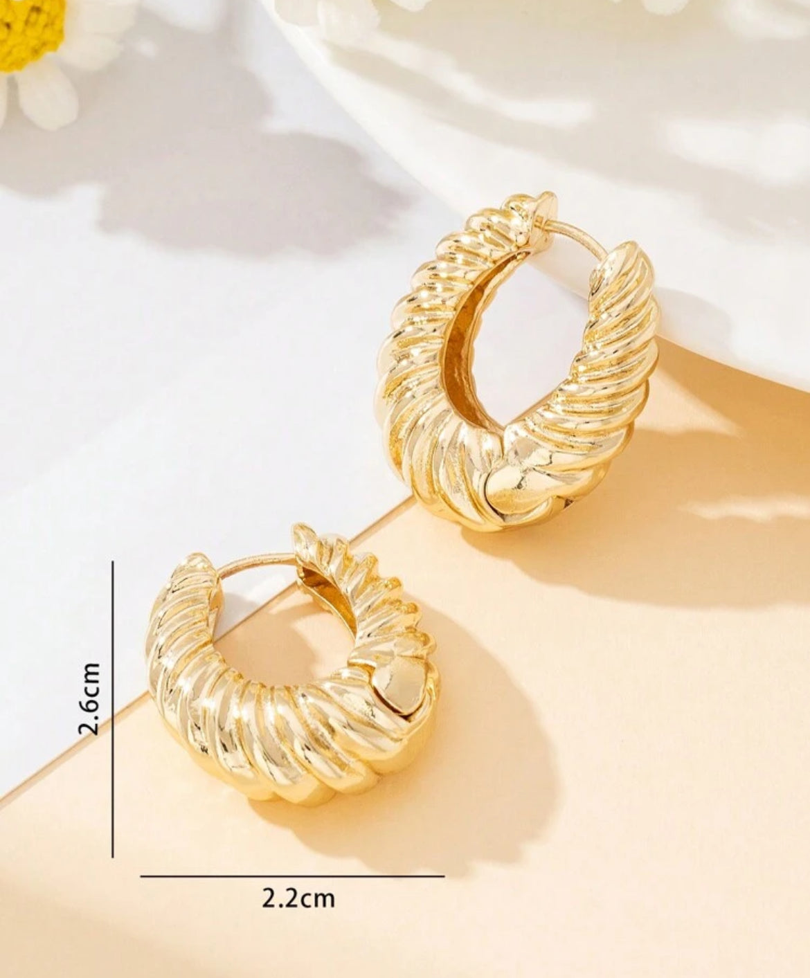 Venice Elegant earring hoops