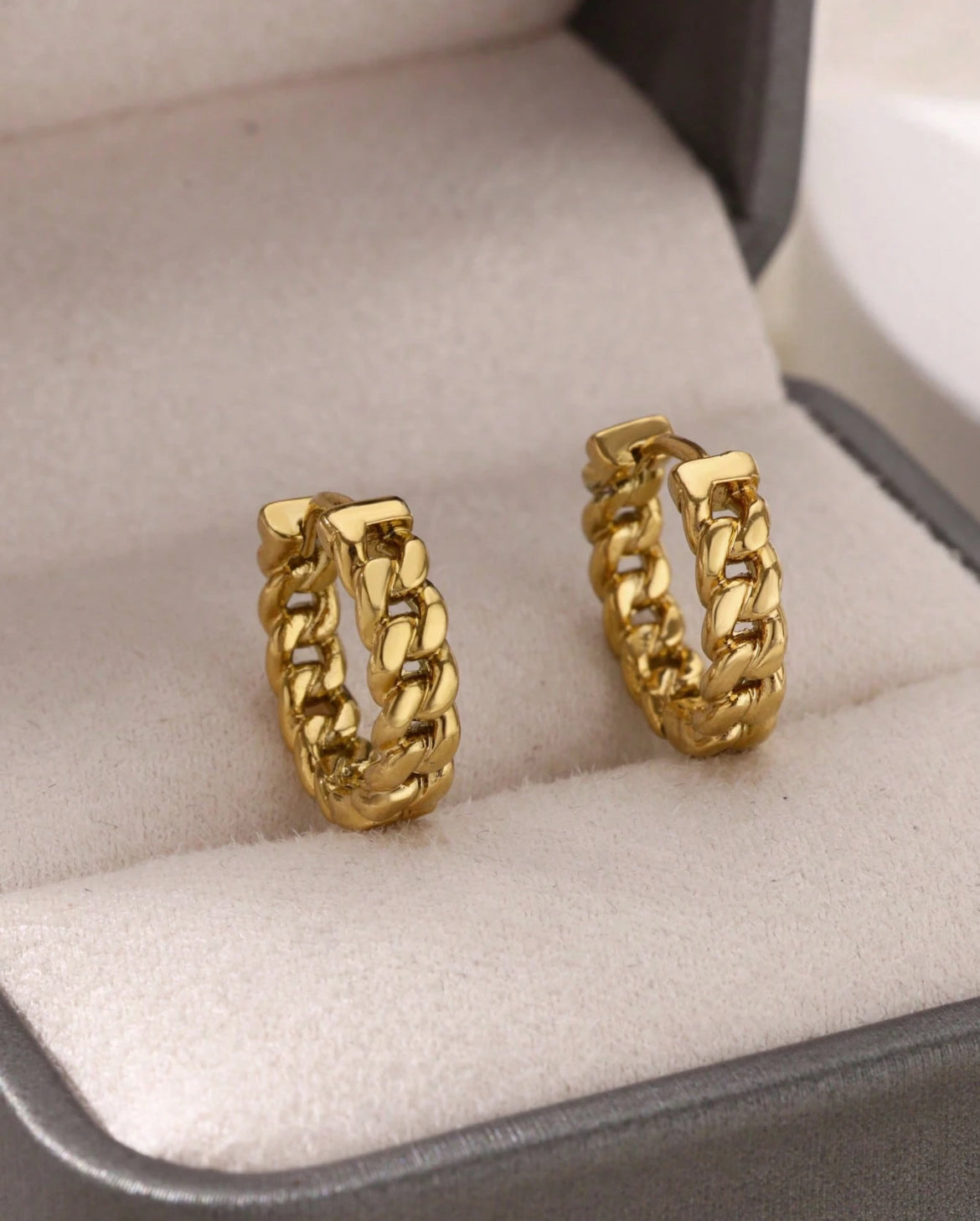 Luxe Line stainless steel earrings