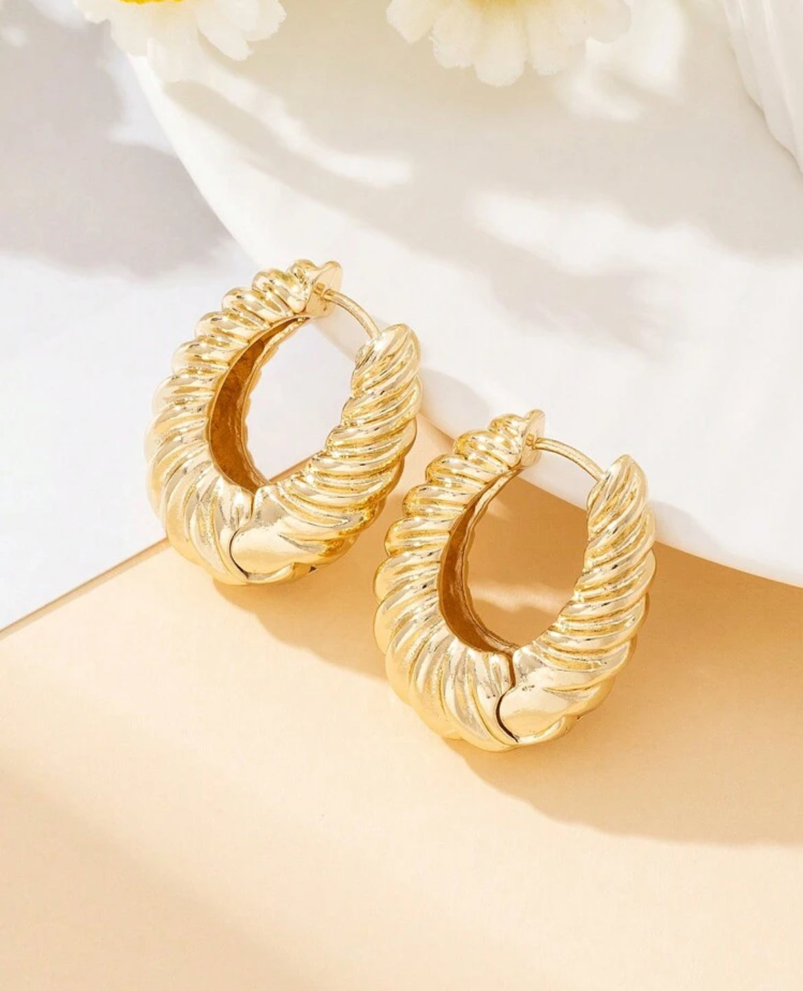 Venice Elegant earring hoops