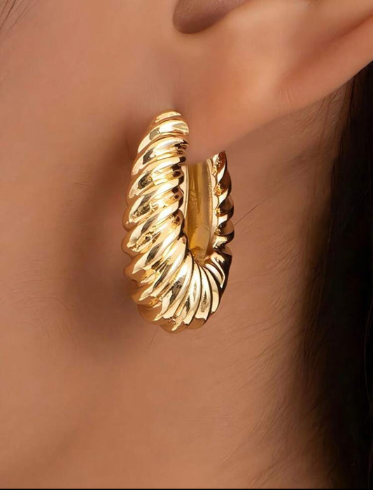 Venice Elegant earring hoops