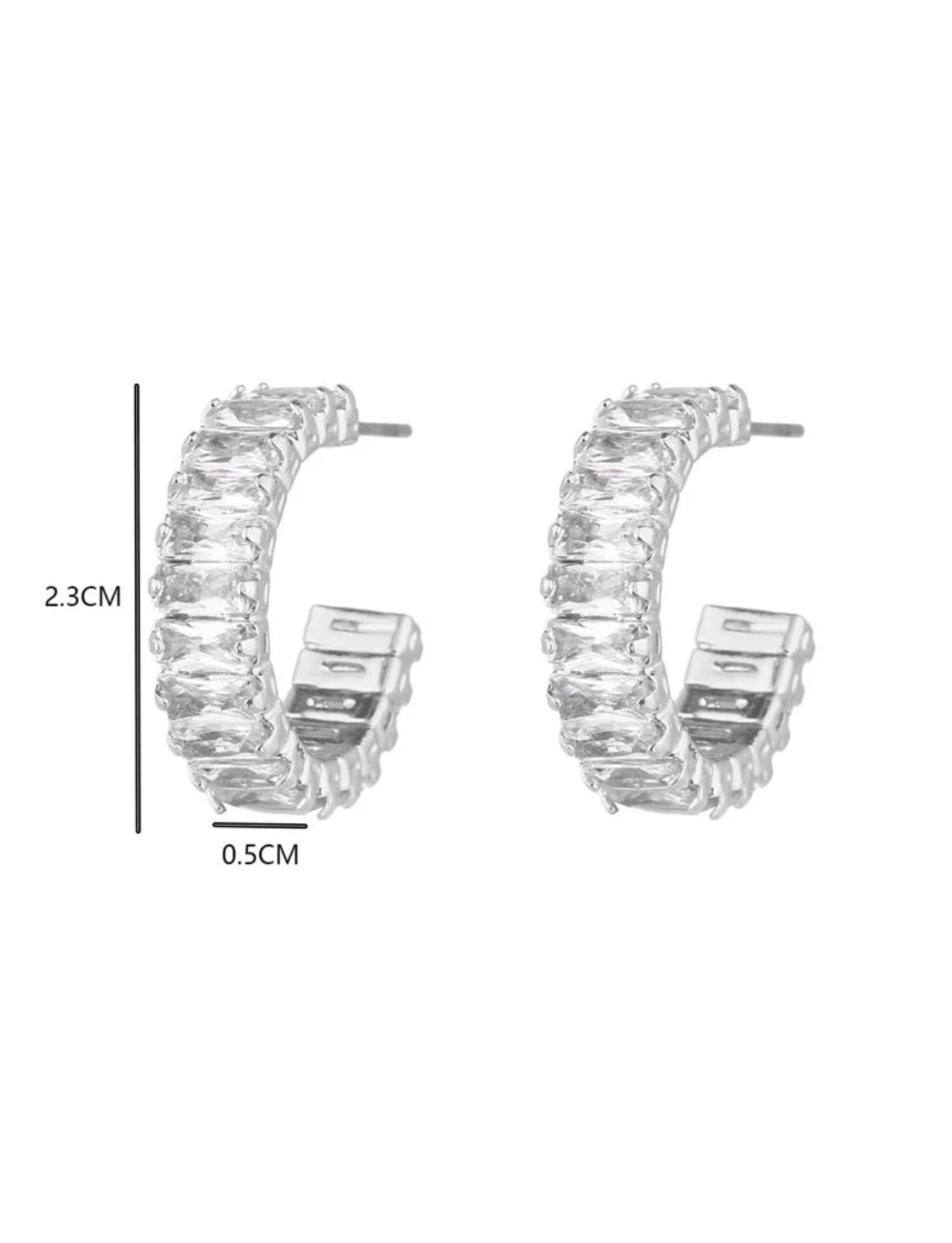 Ashely Hoop Earrings