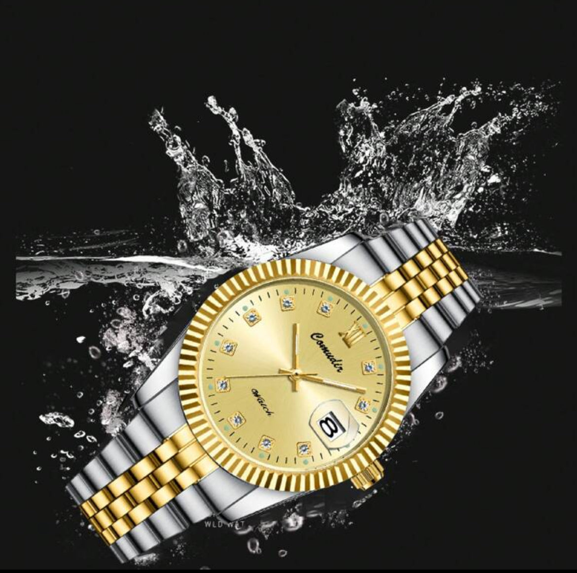 Bianca Ladies Stainless Steel watch