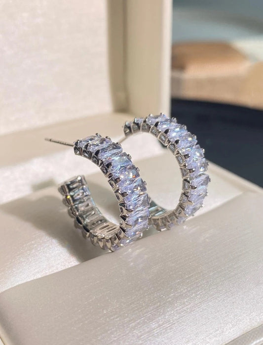 Ashely Hoop Earrings