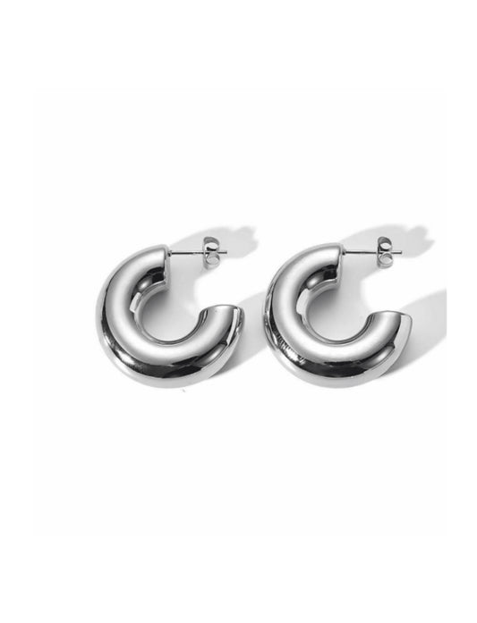 Coco stainless steel hoop earrings