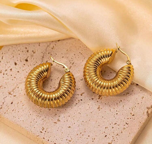 Hollow Curved Earring